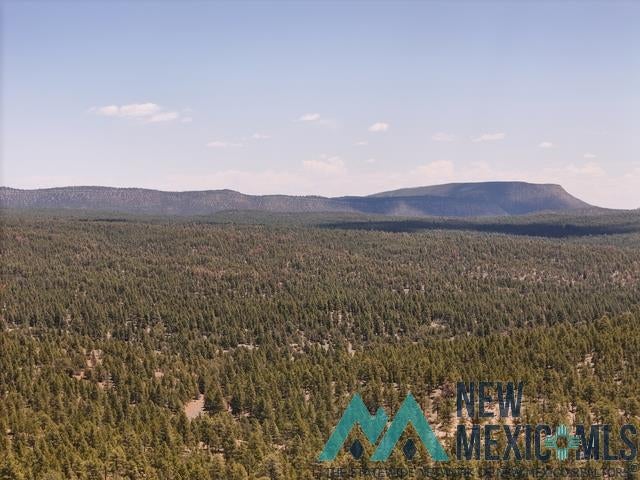Tbd Tbd Little Arrow Road Grants, NM 87020 - Photo 53 of 69
