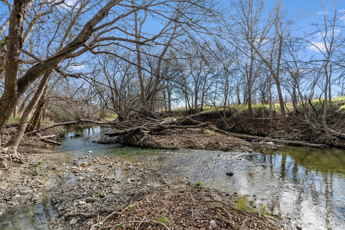 0 Rolling Ridge Road Lockhart, TX 78644 - Photo 16 of 34 a view of a yard with a tree