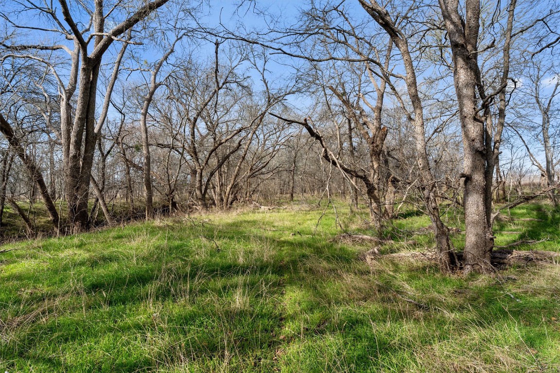 0 Rolling Ridge Road Lockhart, TX 78644 - Photo 19 of 34 a view of backyard with green space