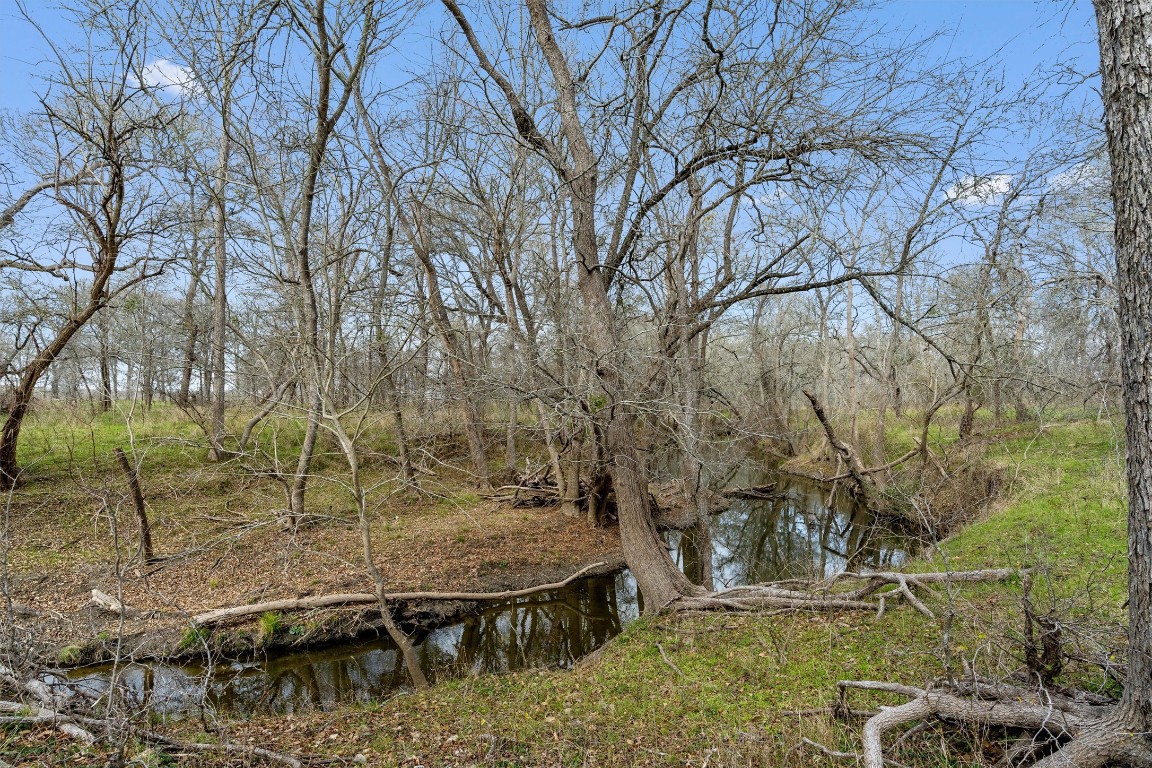0 Rolling Ridge Road Lockhart, TX 78644 - Photo 21 of 34 a view of a yard with an outdoor space