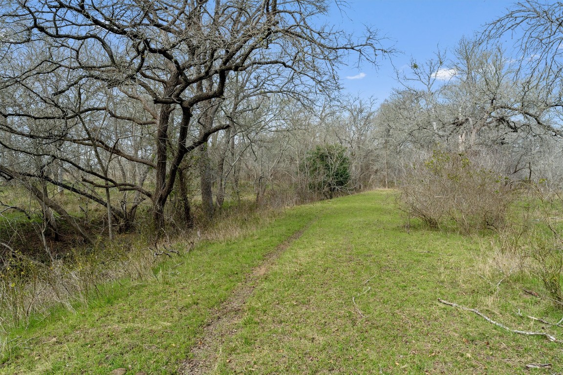 0 Rolling Ridge Road Lockhart, TX 78644 - Photo 24 of 34 a backyard of a house with lots of green space
