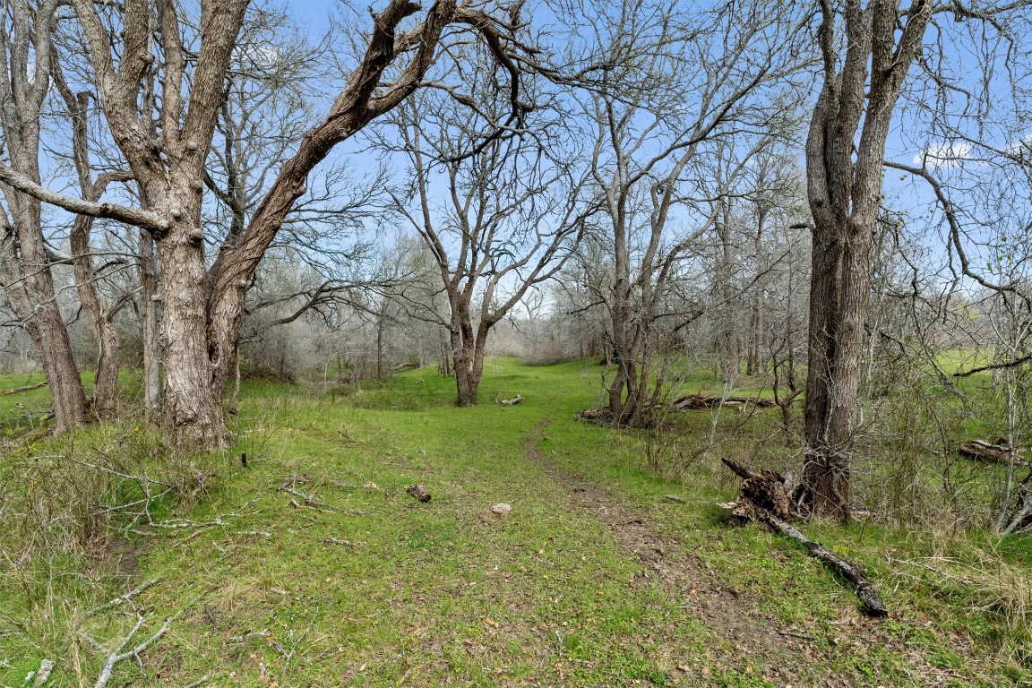 0 Rolling Ridge Road Lockhart, TX 78644 - Photo 27 of 34 a view of backyard with green space