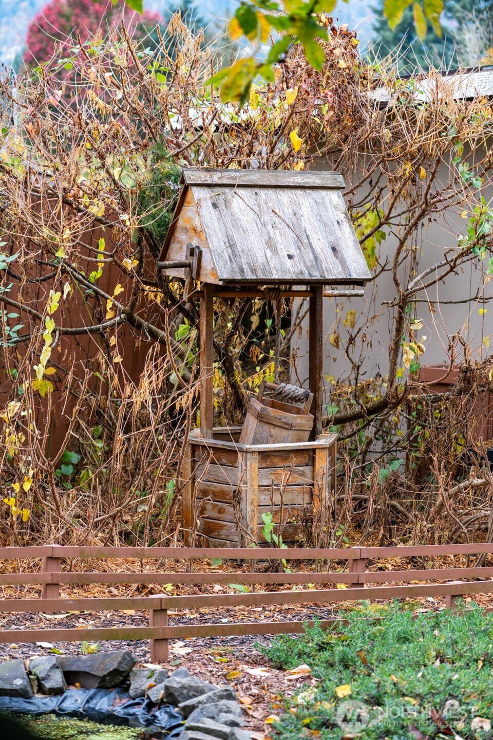 2403 34th Avenue Longview, WA 98632 - Photo 33 of 40 a picture of a tree in front of a house