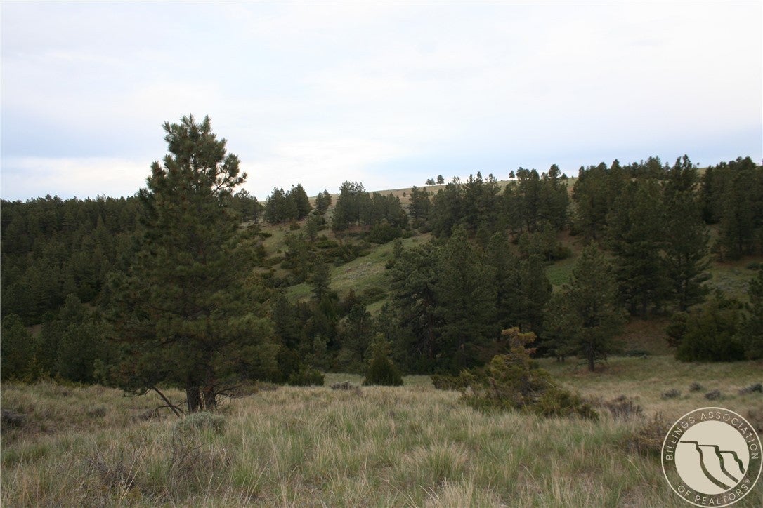 Lot 71 North Harrier Road Reed Point, MT 59069 - Photo 7 of 32 Gallery Image 7