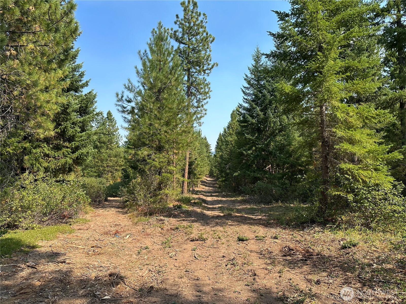 2 Cedar Monument Road Goldendale, WA 98620 - Photo 4 of 5 a view of a dirt road with trees in the background