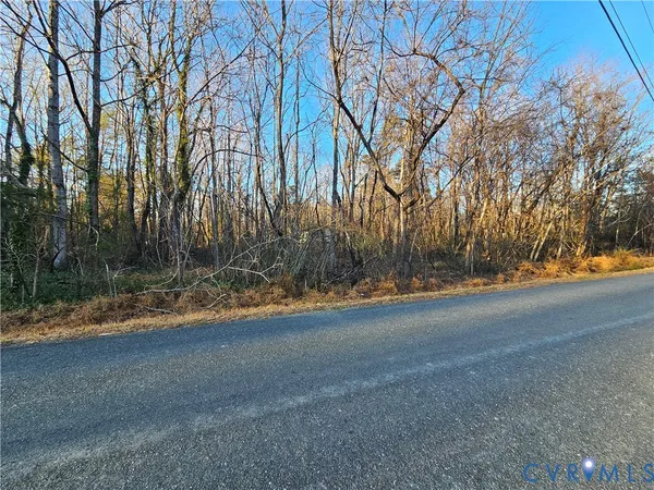 a view of dirt yard with a large tree