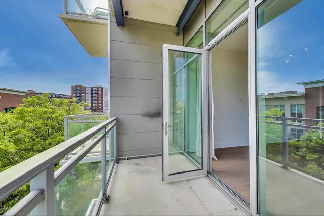 a view of a garden with a pathway