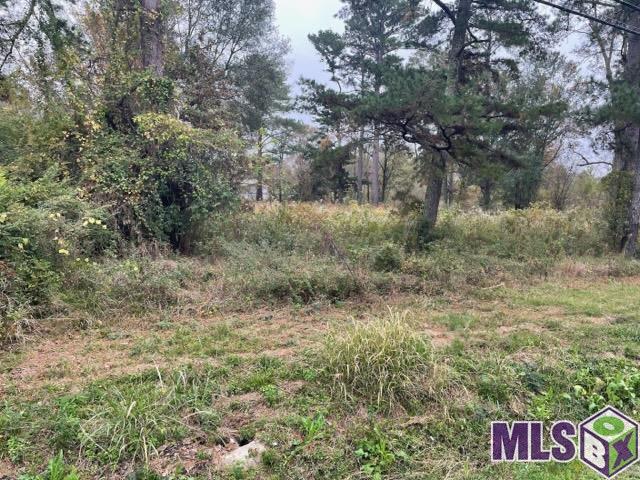 7233 Antioch Road Baton Rouge, LA 70817 - Photo 1 of 4 Gallery Image 1