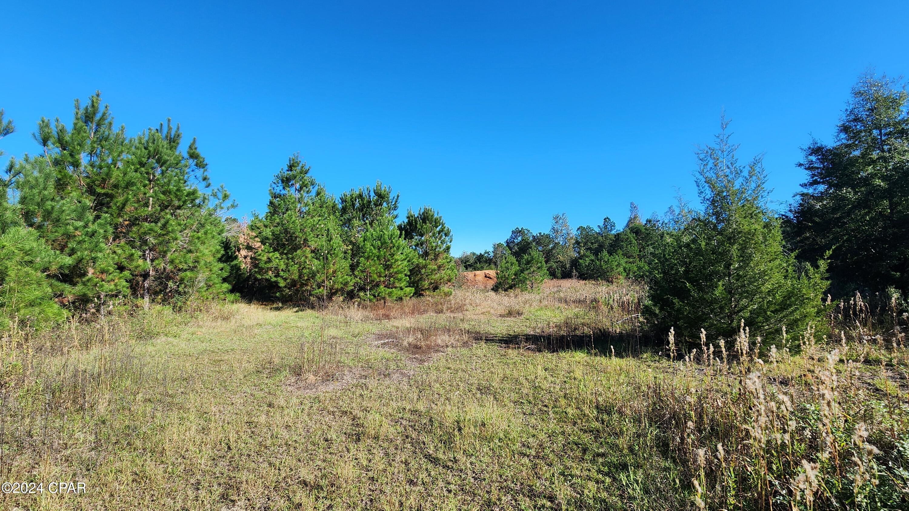 2597 Kynesville Road Cottondale, FL 32431 - Photo 22 of 27 Gallery Image 22