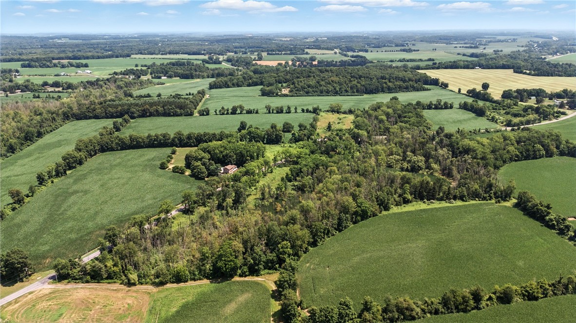 850 Bell Road Phelps, NY 14432 - Photo 21 of 42