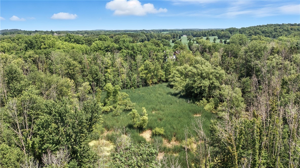 850 Bell Road Phelps, NY 14432 - Photo 23 of 42