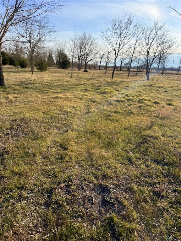 Tbd Lot 2 Tbd Ferris, TX 75125 - Photo 8 of 12