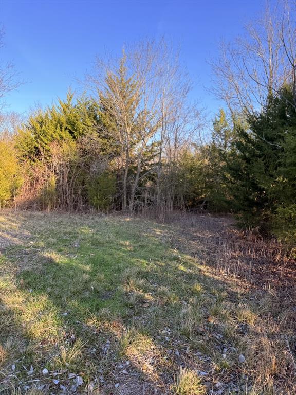 Tbd Lot 2 Tbd Ferris, TX 75125 - Photo 10 of 12