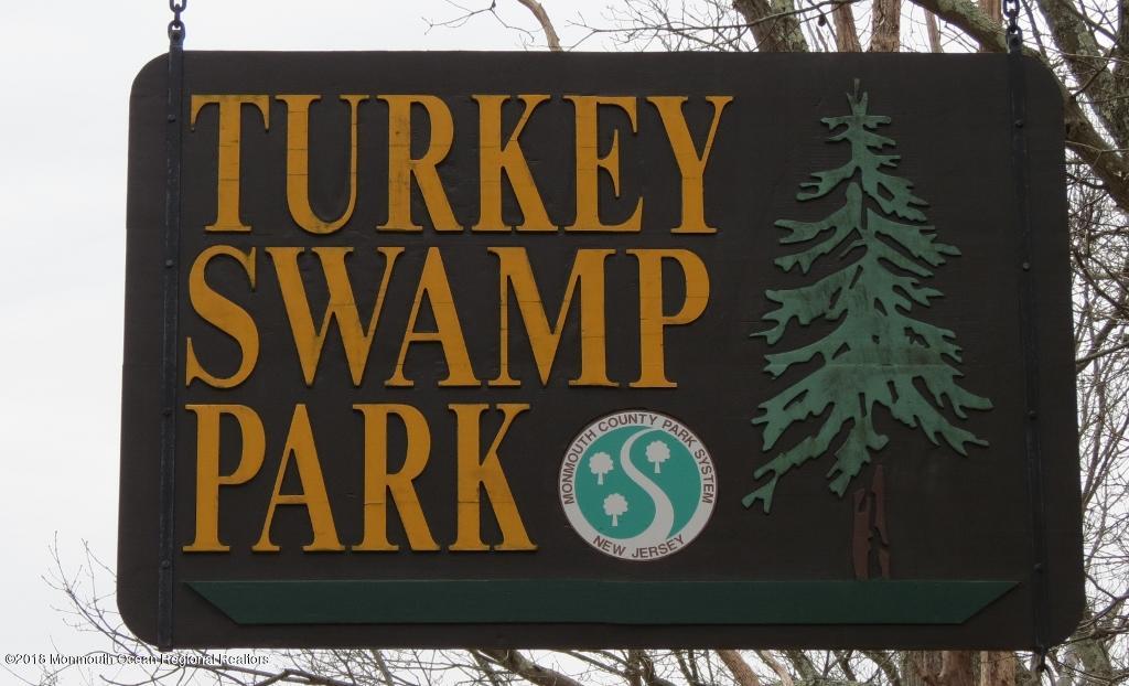 221 Georgia Road Freehold, NJ 07728 - Photo 46 of 47 IMG_4683