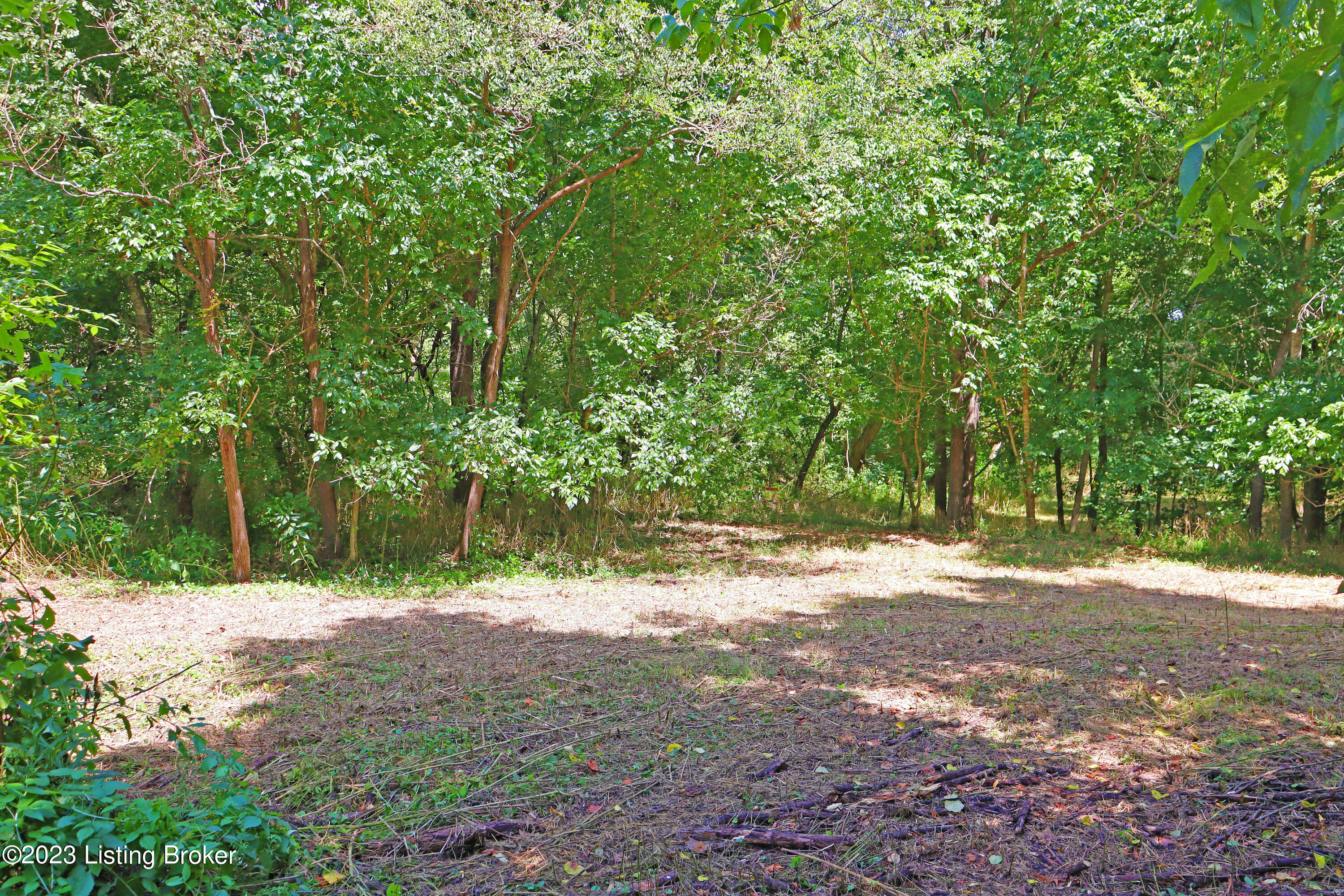 9006 River Road Turners Station, KY 40075 - Photo 29 of 39 Side Campground 1