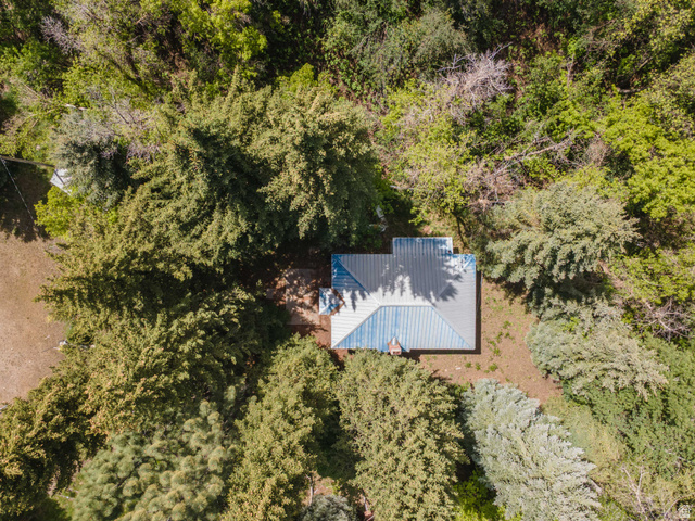 6449 North North Fork Road Eden, UT 84310 - Photo 21 of 38 Aerial perspective of a residence featuring a blue metal roof and chimney, surrounded by mature trees and natural landscaping