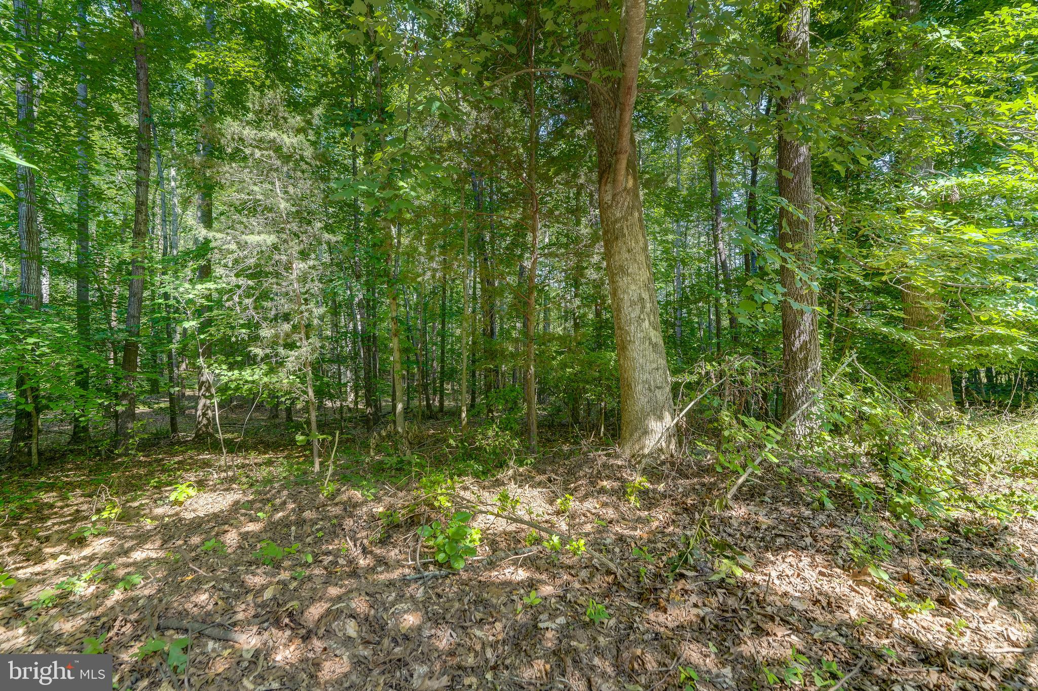 615 Plum Tree Road Bumpass, VA 23024 - Photo 51 of 51 Gallery Image 51