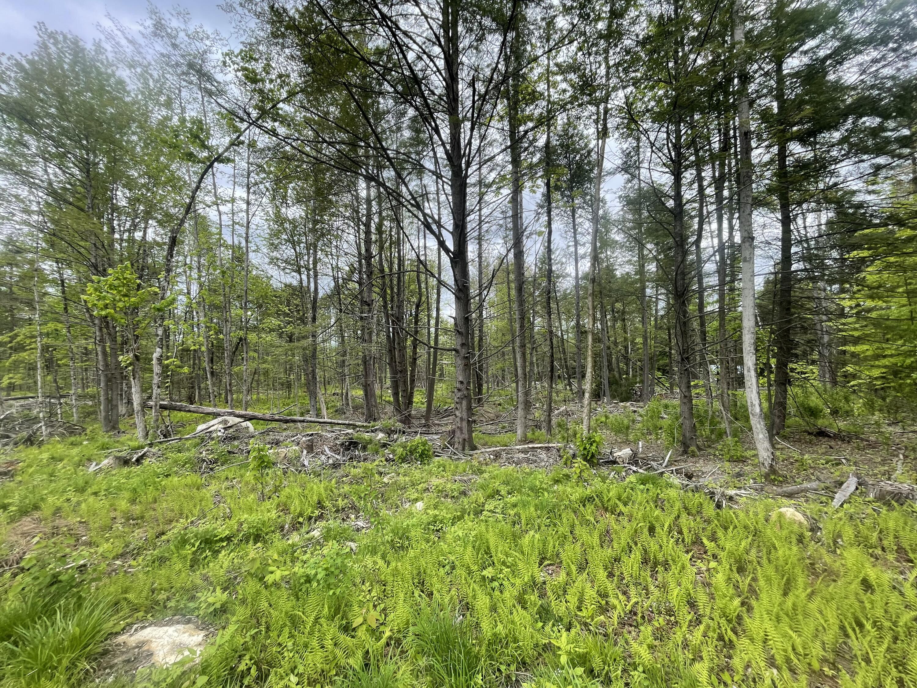 13a Zions Hill Road Chesterville, ME 04938 - Photo 8 of 14