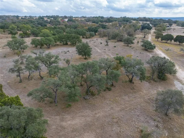 an aerial view of greenery