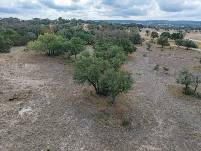 a view of a dry yard with trees in the background