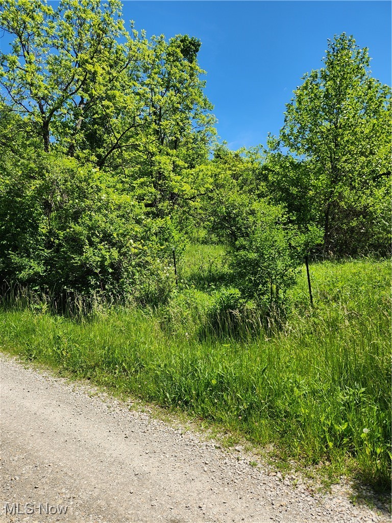 Morrison Hill Road Caldwell, OH 43724 - Photo 11 of 15 View of undeveloped land