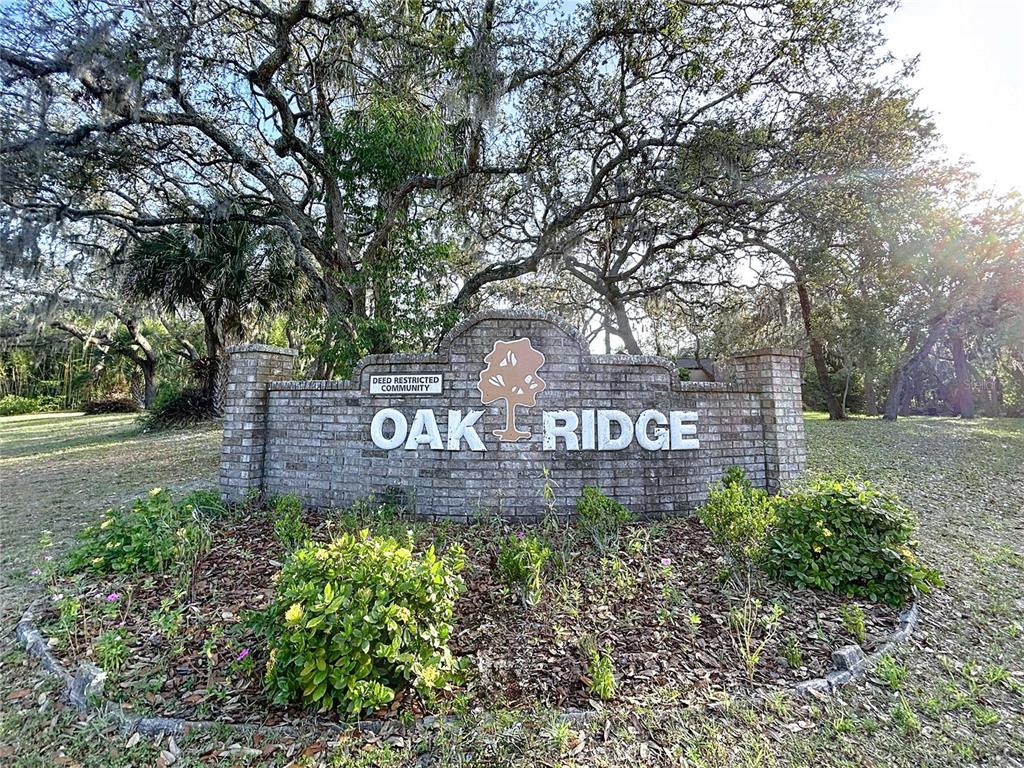 6602 Winding Brook Drive New Port Richey, FL 34655 - Photo 19 of 88