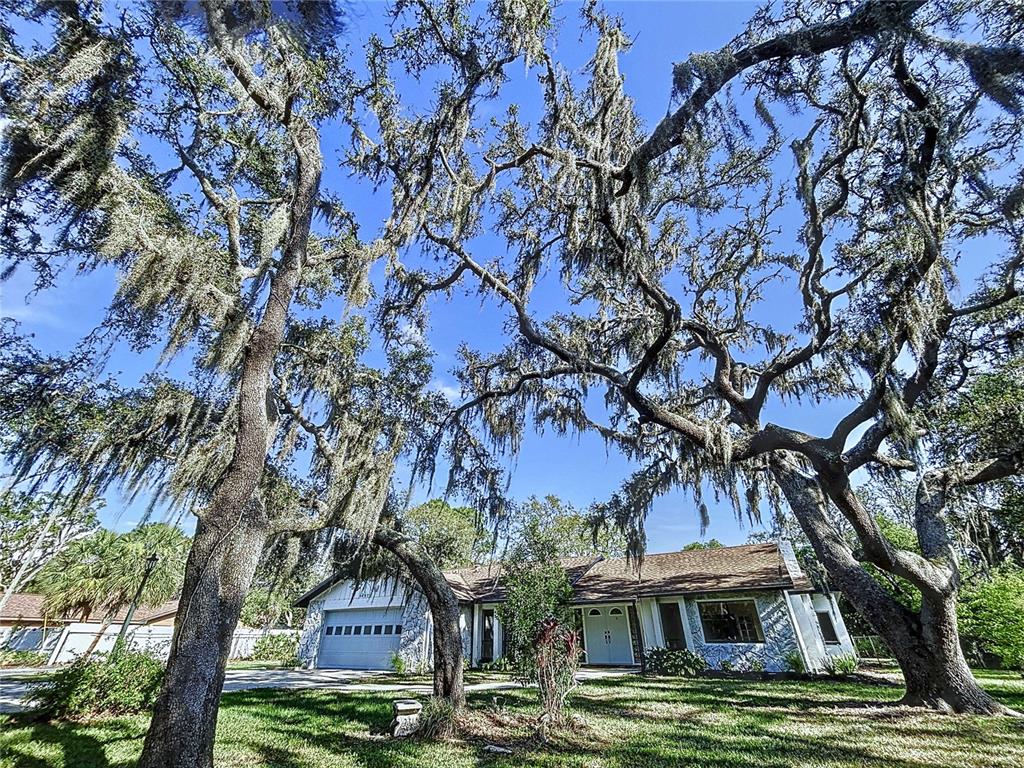 6602 Winding Brook Drive New Port Richey, FL 34655 - Photo 50 of 88