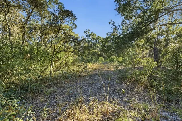 a view of ocean view with beach
