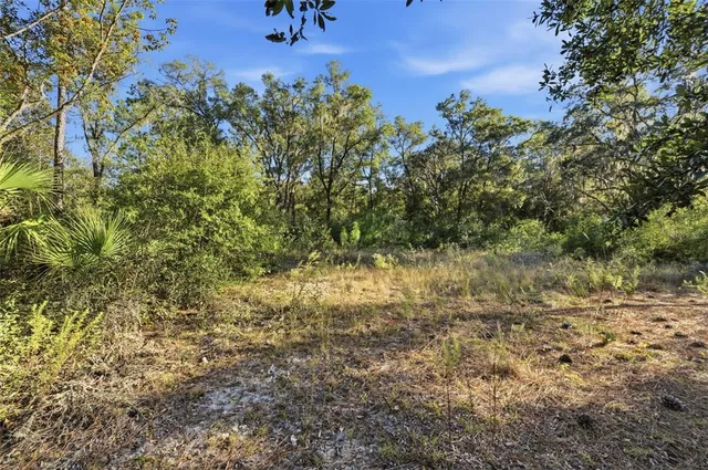 a view of a yard with a tree