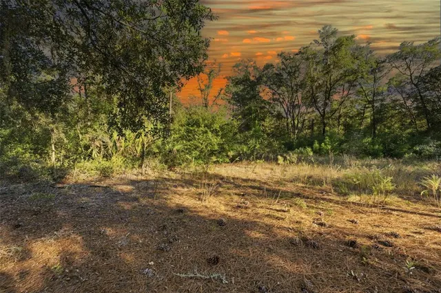 $25,300 | 7570 West Pixie Lane, Dunnellon, FL 34433