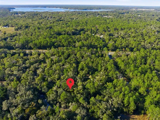 an aerial view of a houses with a yard