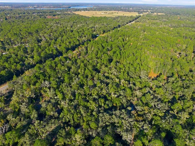 a view of outdoor space and trees