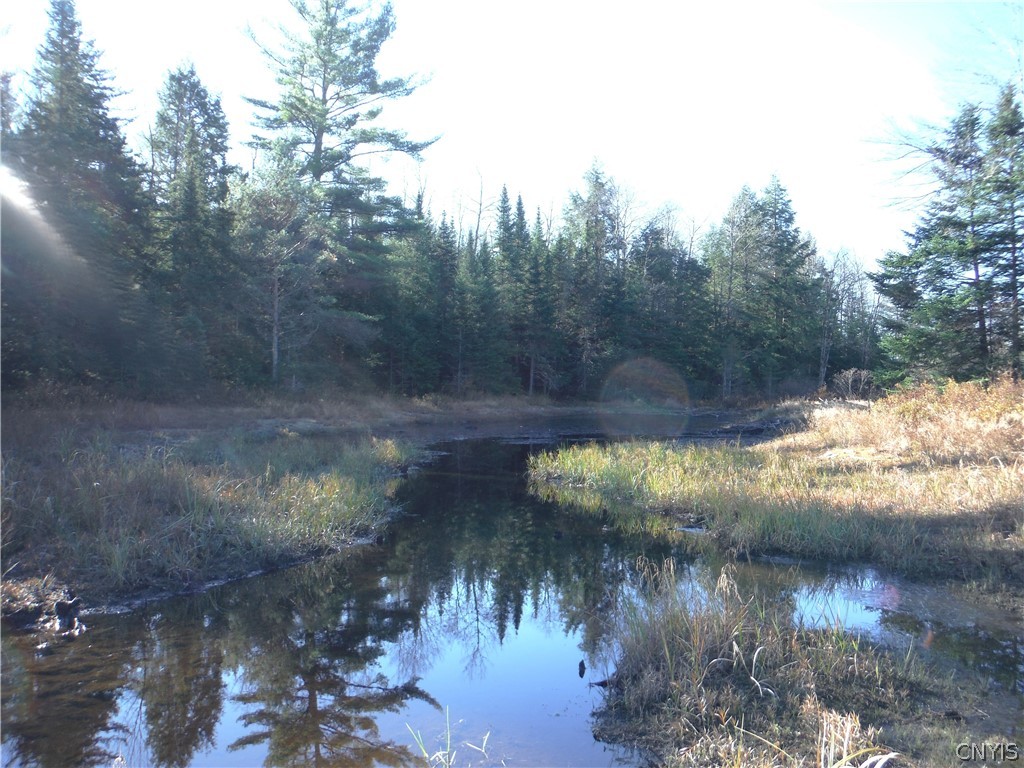 X Buck Lake Road Port Leyden, NY 13433 - Photo 4 of 50 End of beaver meadow