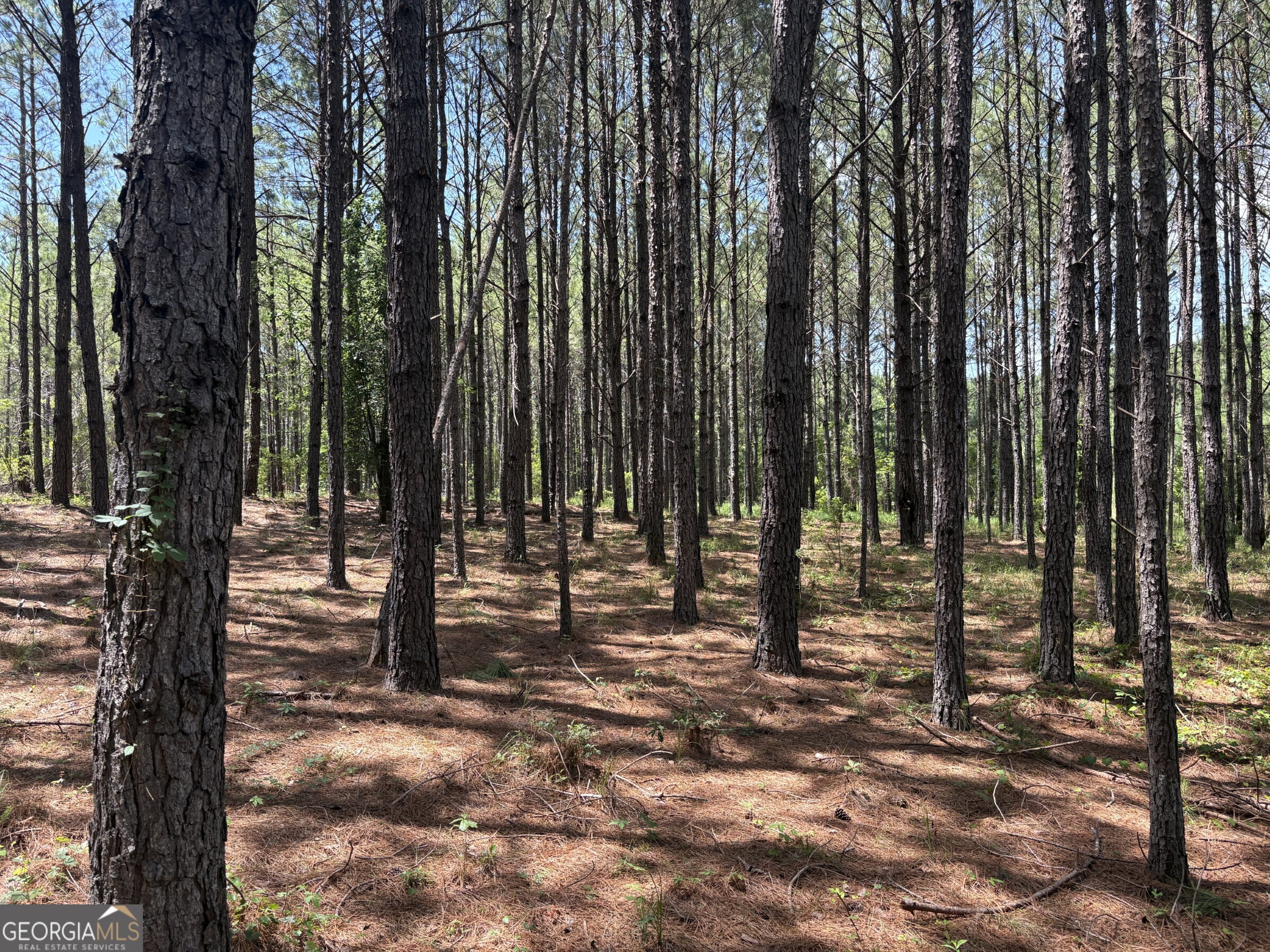 0 Wriley Road McIntyre, GA 31054 - Photo 7 of 29