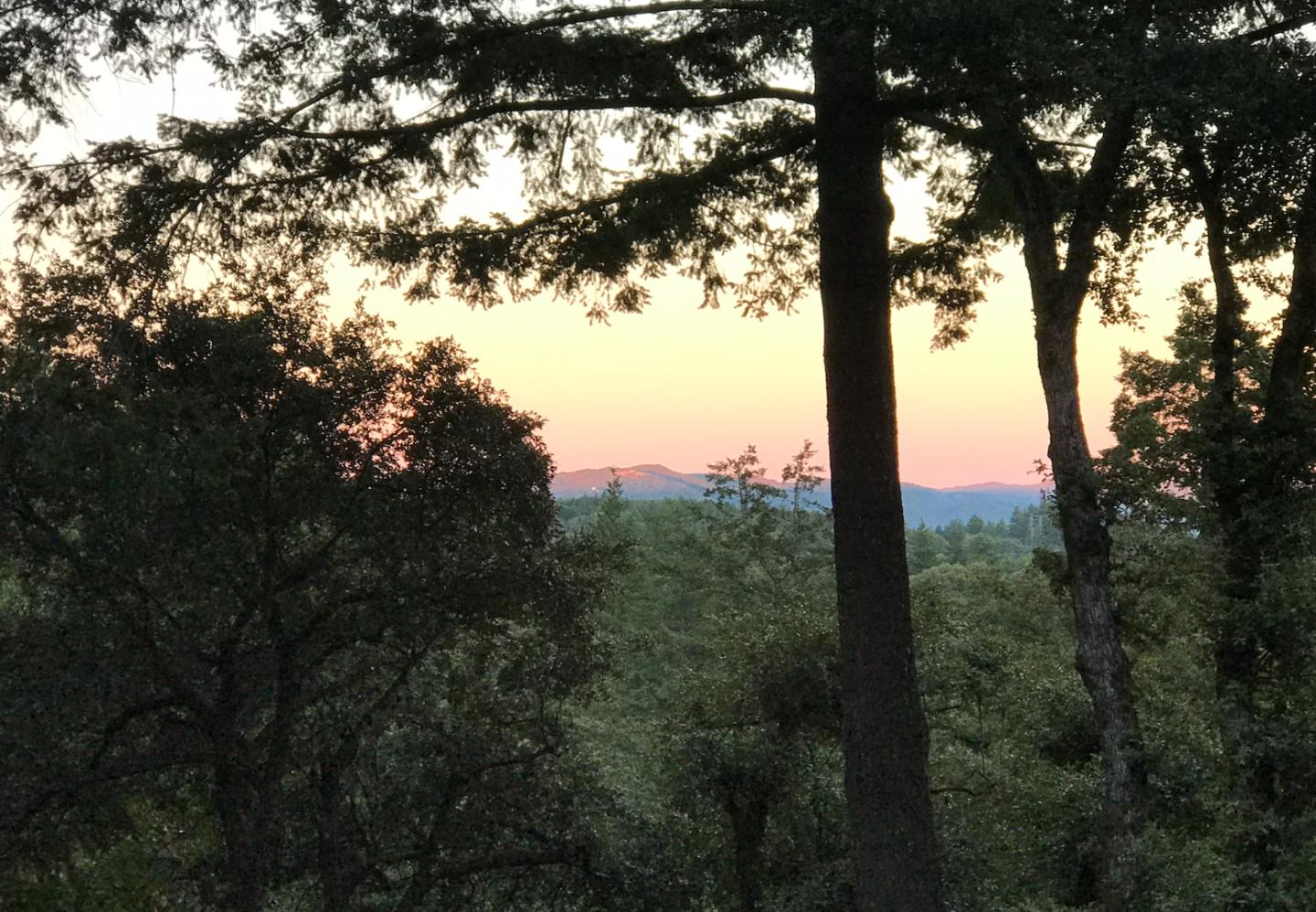 19170 Old Vineyard Road Los Gatos, CA 95033 - Photo 46 of 52 a view of a trees