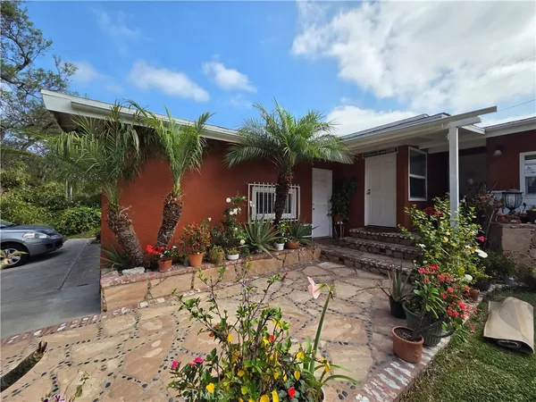 a view of a house with potted plants and a large tree