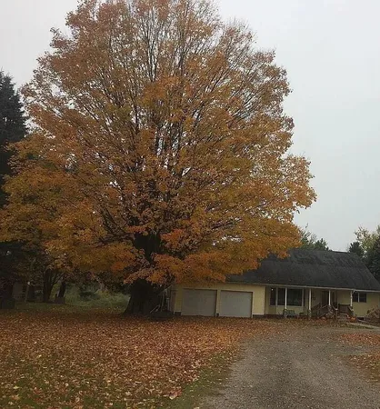 $399,900 | 371 North Stiles Road, Ludington, MI 49431