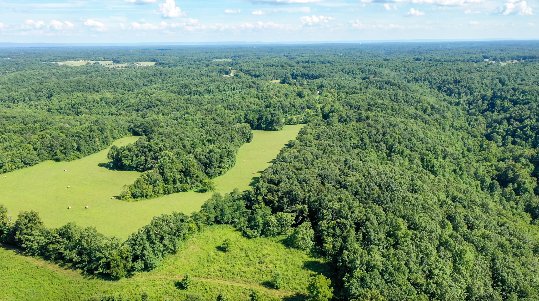 a view of a yard with an outdoor space