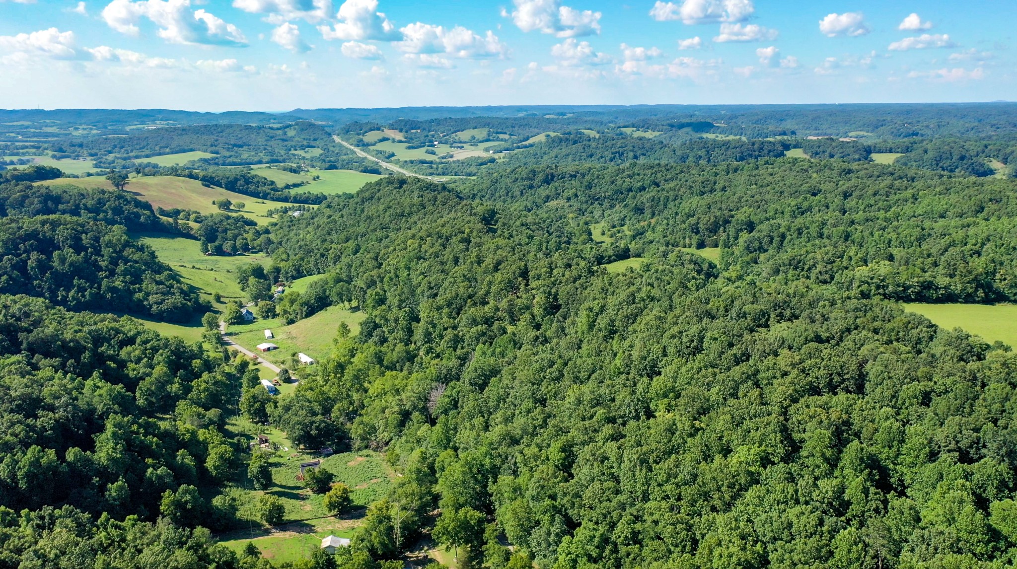 0 Crews Hollow Road Manchester, TN 37355 - Photo 13 of 17 a view of a green yard with large trees