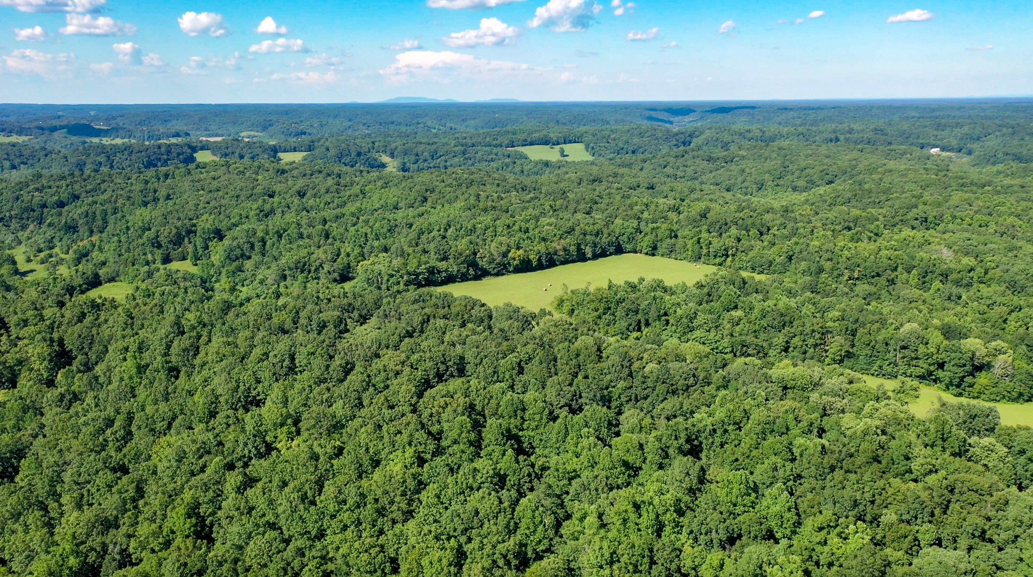 0 Crews Hollow Road Manchester, TN 37355 - Photo 14 of 17 a view of a field with a lush green forest