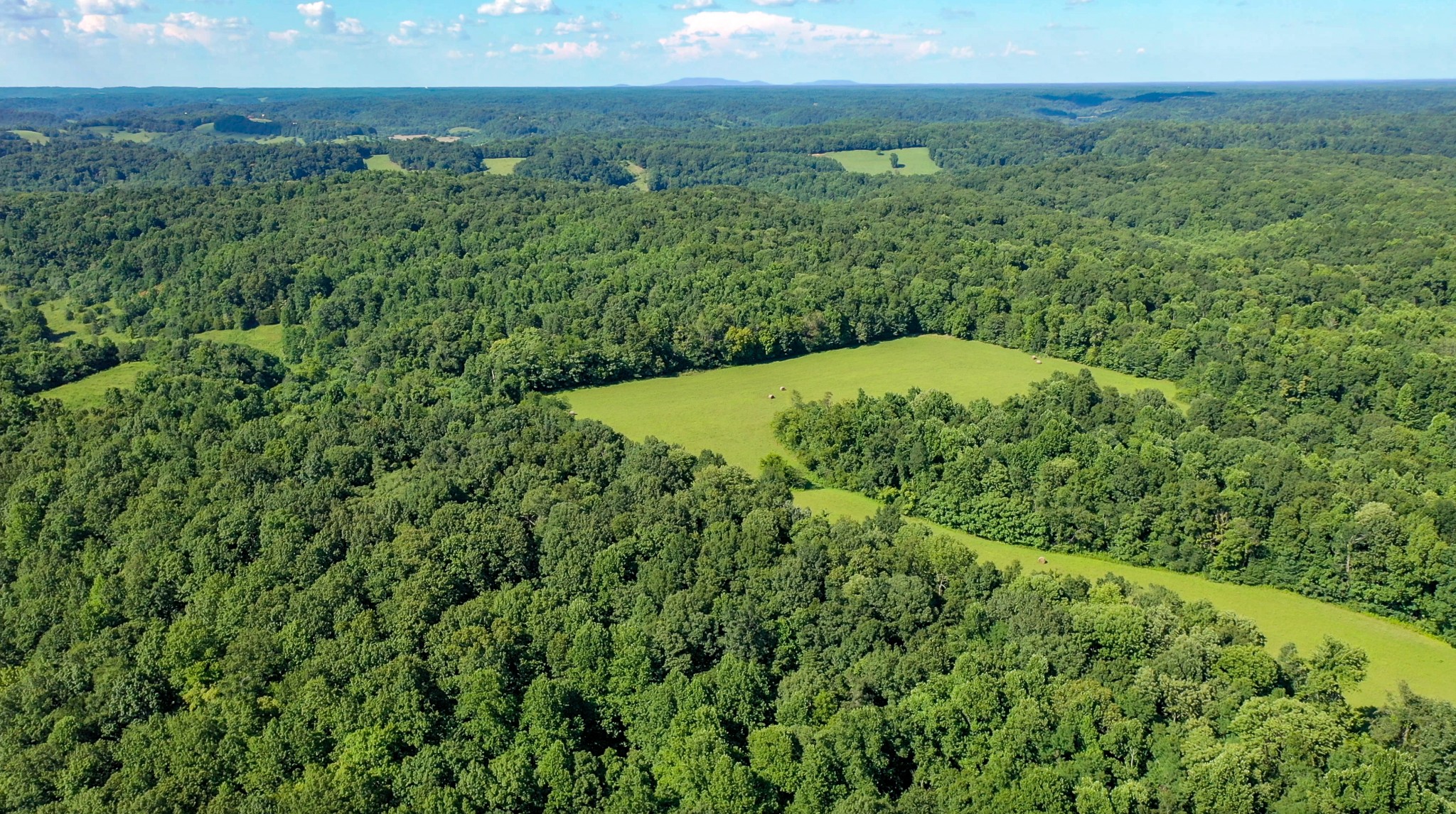 0 Crews Hollow Road Manchester, TN 37355 - Photo 15 of 17 a view of a lush green forest with trees in the background