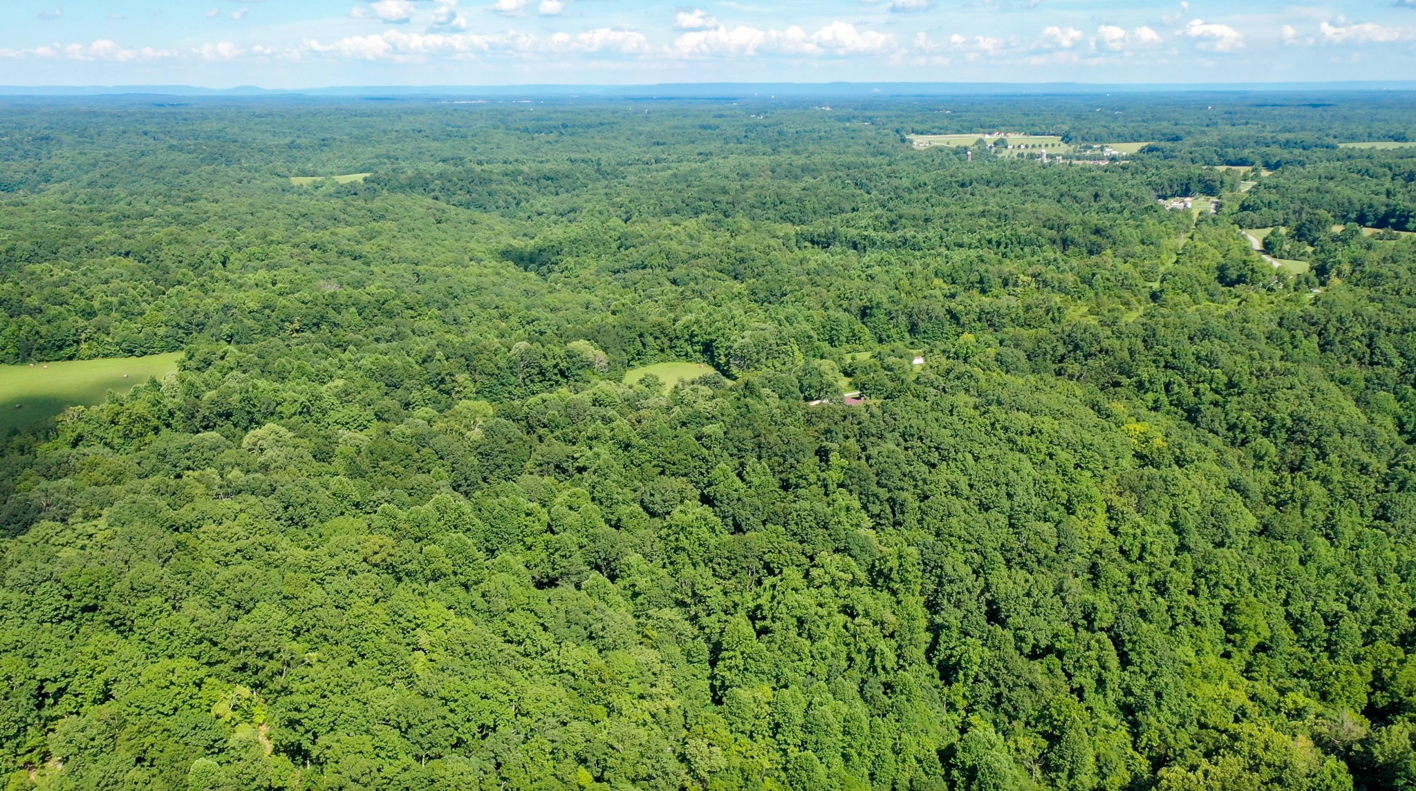 0 Crews Hollow Road Manchester, TN 37355 - Photo 5 of 17 a view of a big yard with plants and large trees