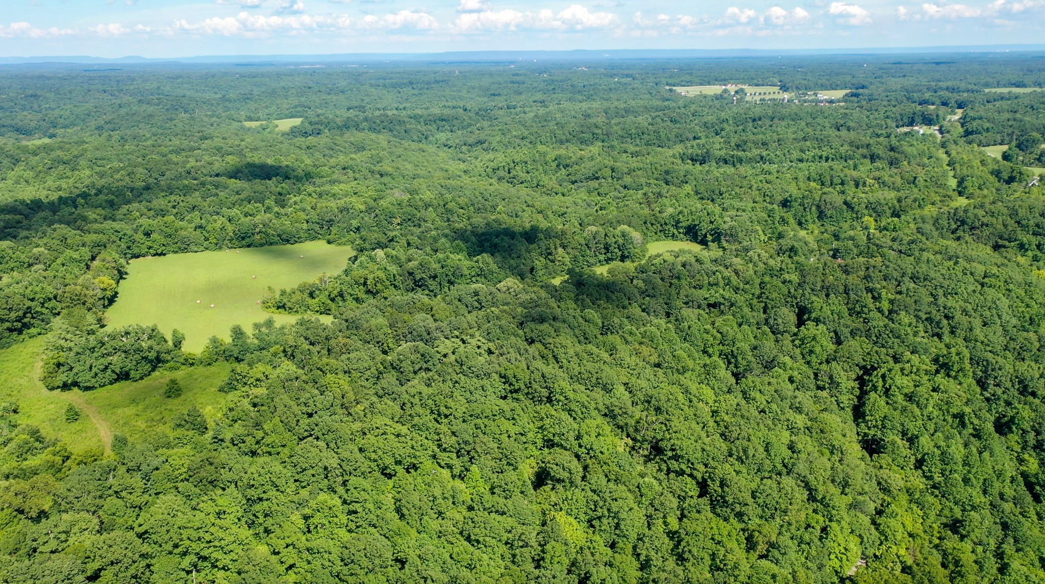 0 Crews Hollow Road Manchester, TN 37355 - Photo 6 of 17 a view of a lush green outdoor space with a lake view