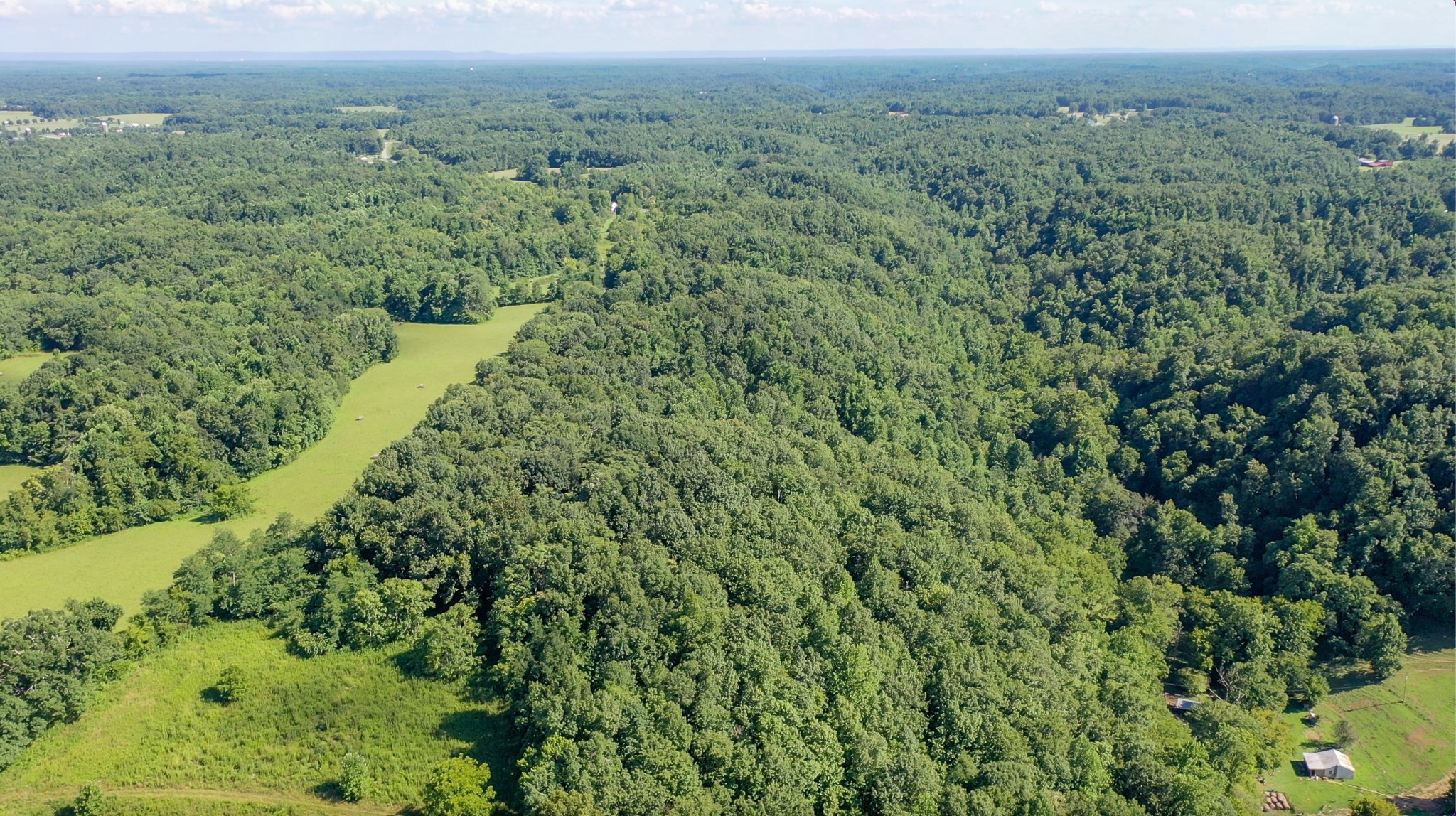 0 Crews Hollow Road Manchester, TN 37355 - Photo 7 of 17 an aerial view of forest