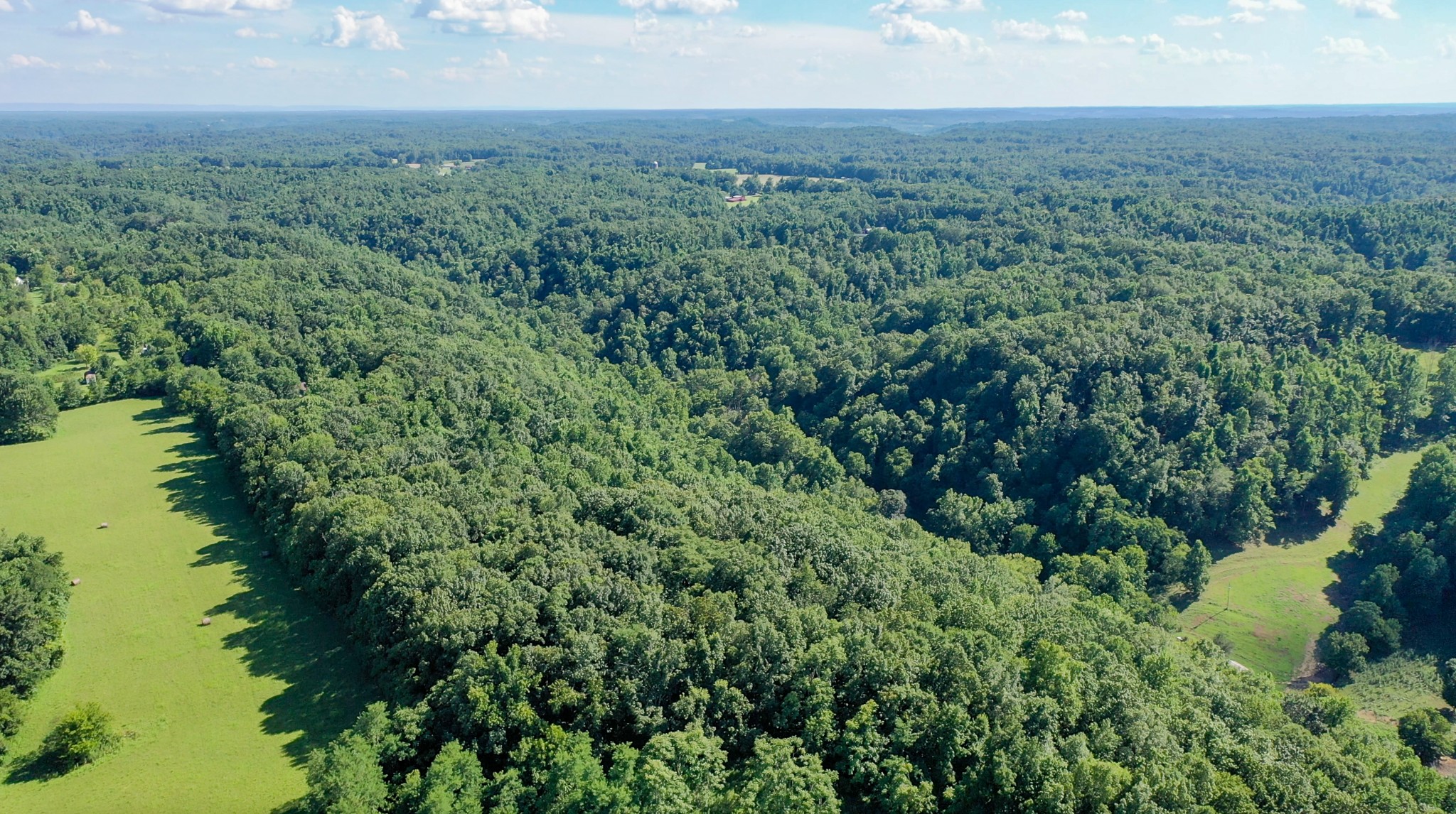 0 Crews Hollow Road Manchester, TN 37355 - Photo 8 of 17 an aerial view of residential houses with outdoor space and trees