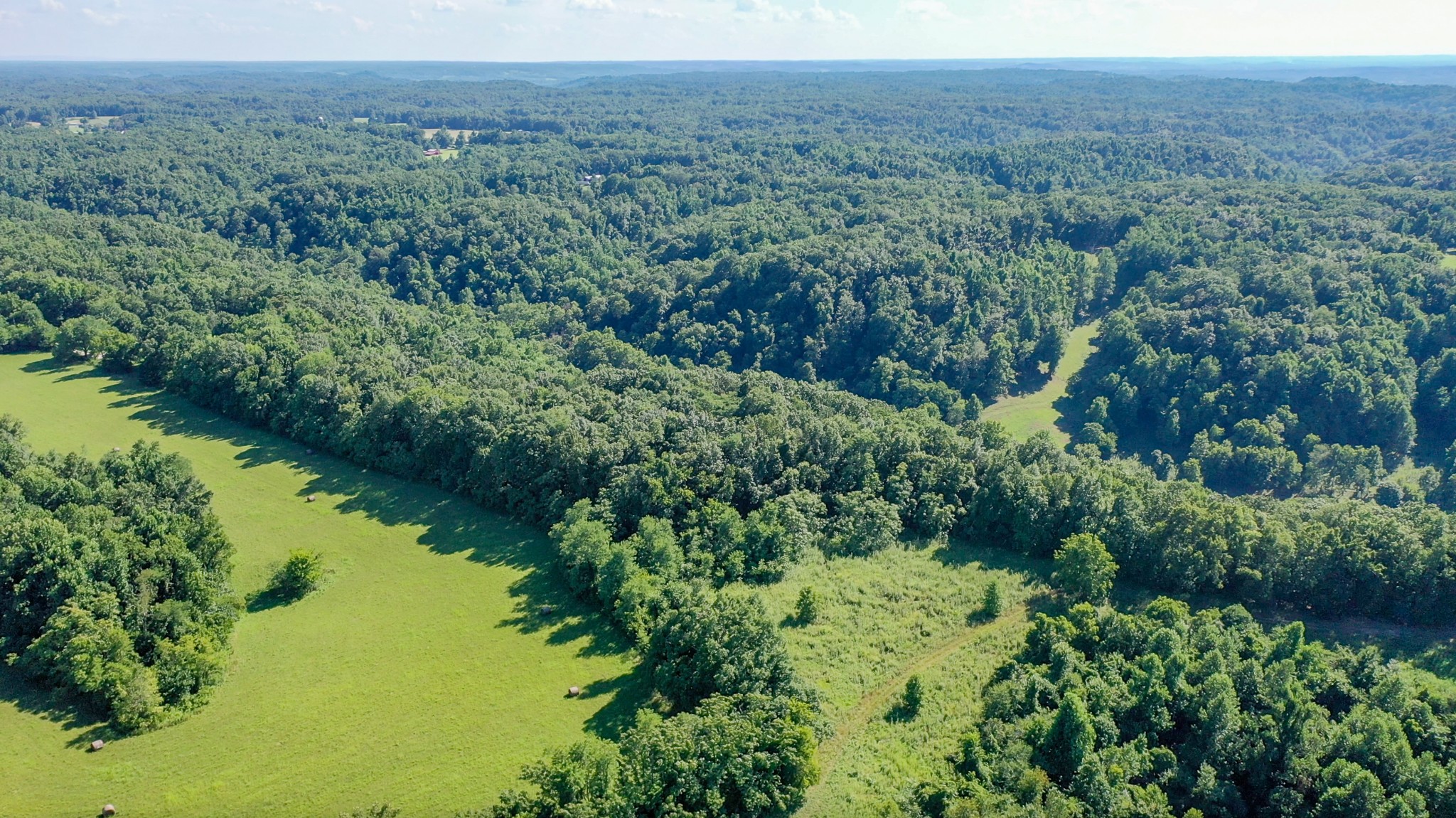 0 Crews Hollow Road Manchester, TN 37355 - Photo 9 of 17 a view of a lush green forest