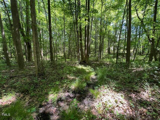 4724 Sunset Lake Road Apex, NC 27539 - Photo 6 of 6 a view of outdoor space and green space
