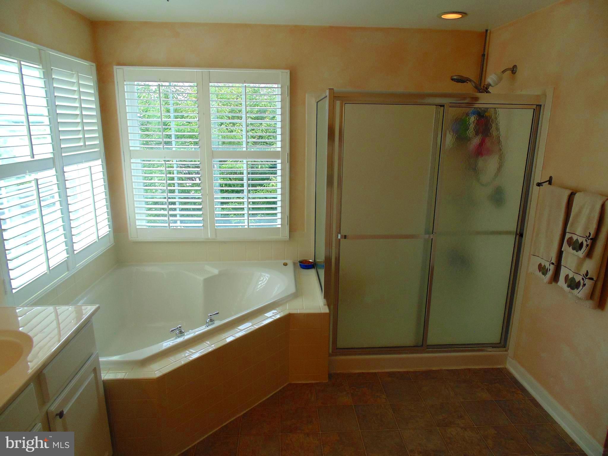 66 Burnlea Road Charles Town, WV 25414 - Photo 17 of 29 Bath (Master)