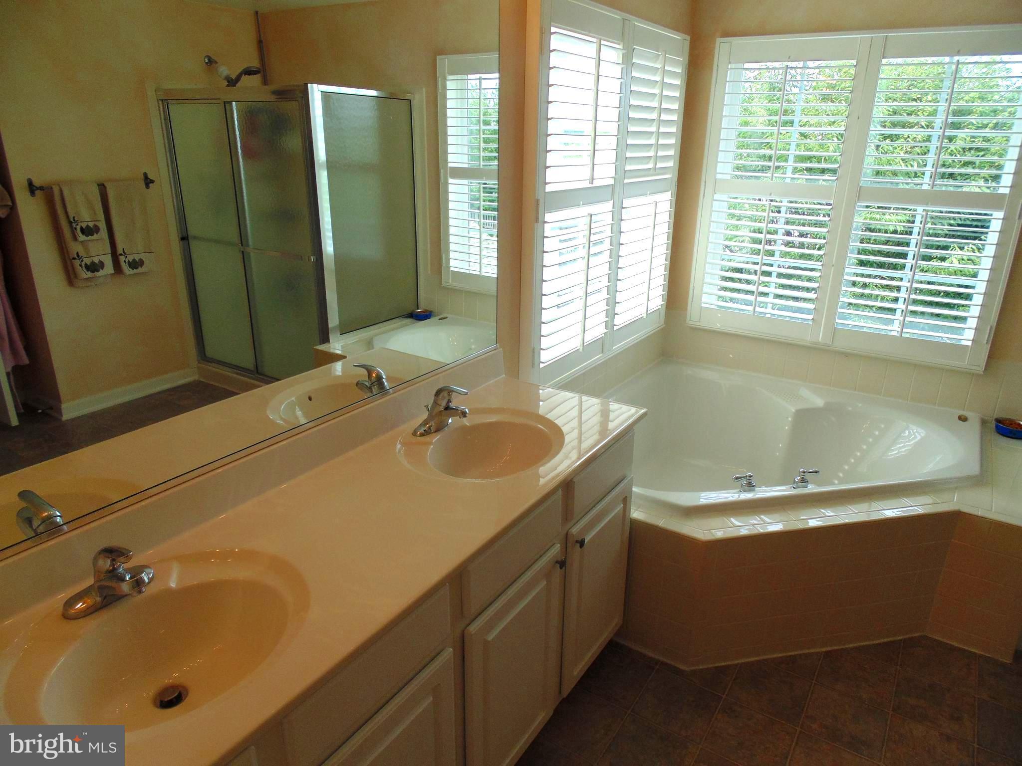 66 Burnlea Road Charles Town, WV 25414 - Photo 18 of 29 Bath (Master)