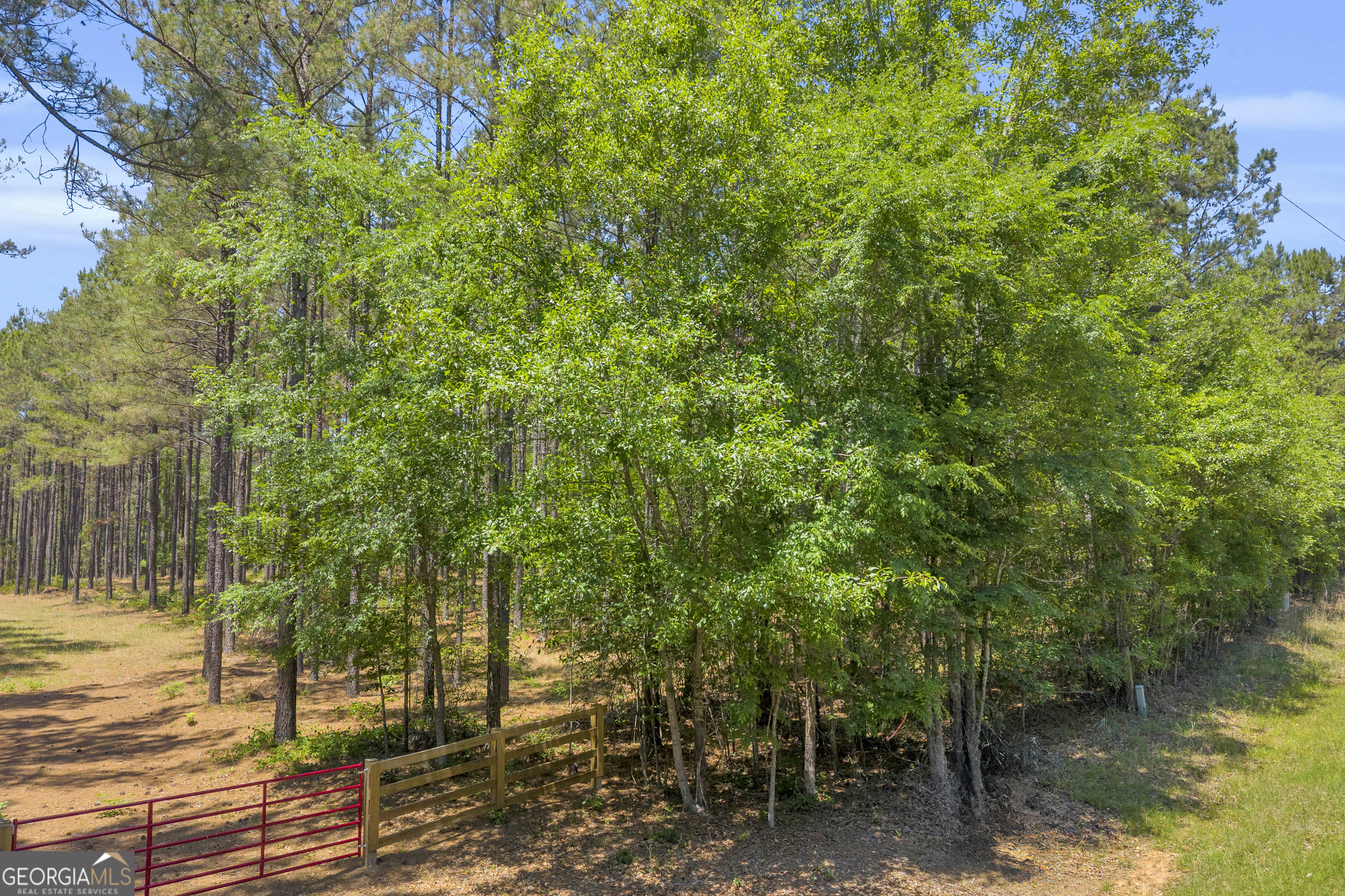 0 Hidden Harbor Road Lincolnton, GA 30817 - Photo 11 of 58